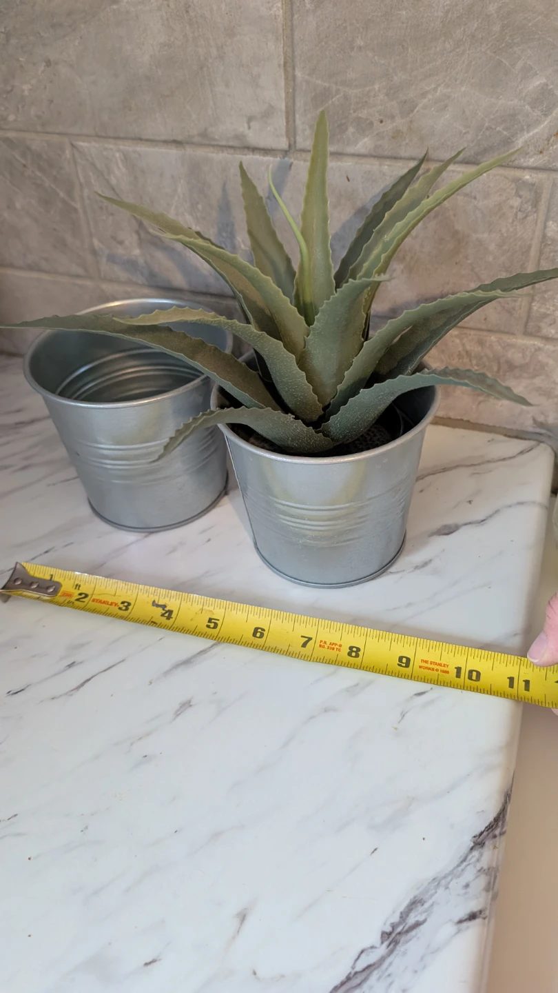Ikea Artificial Succulent Plants (Set of 2) - photo 4