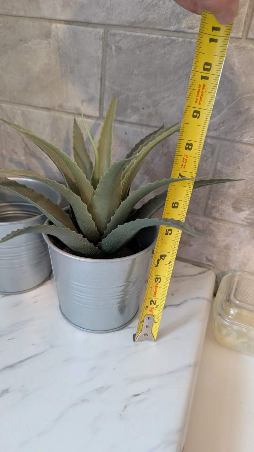 Ikea Artificial Succulent Plants (Set of 2) - photo 5