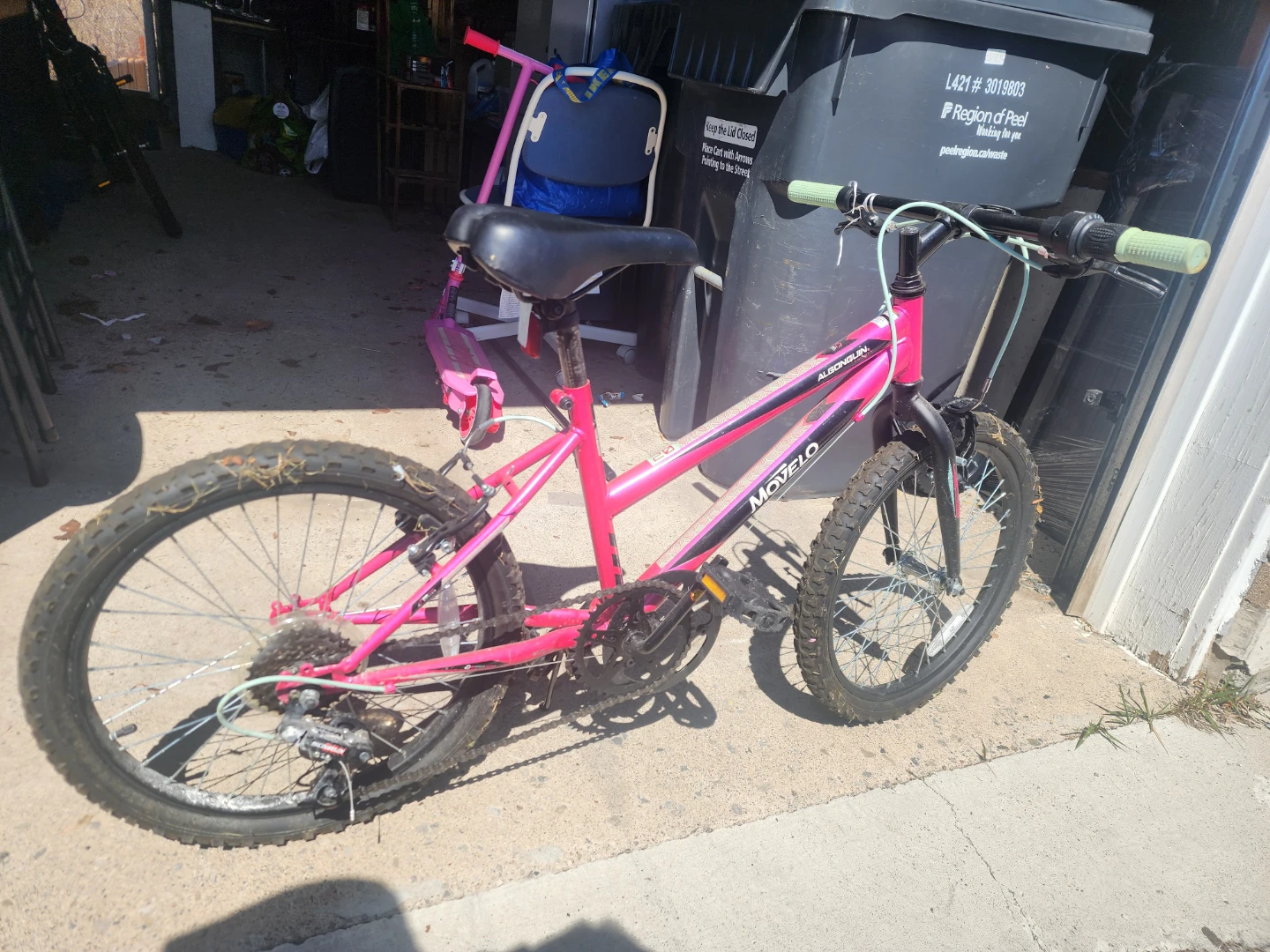 Movelo Algonquin Kids Bike - Pink