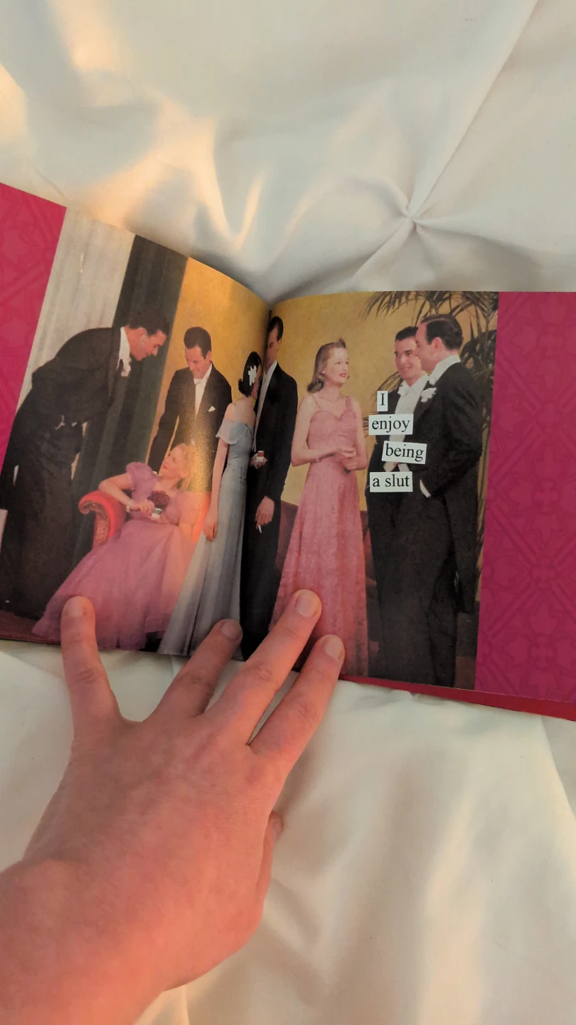Ann Taintor Funny Vintage Coffee Table Book - photo 4