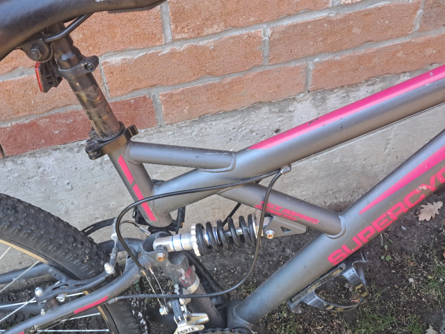 Mountain bike - photo 5