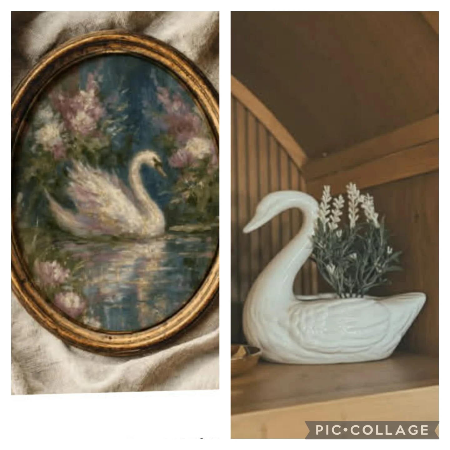Looking for any Swan decor