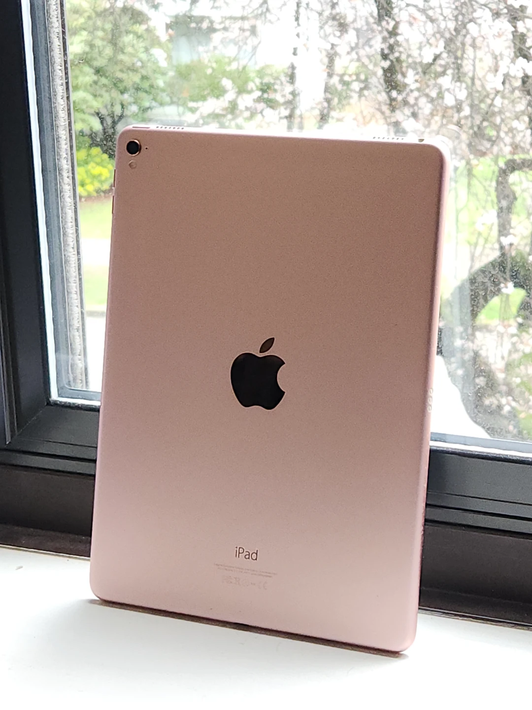 iPad Pro 9.7" with Case - 2016, Rose Gold - photo 4