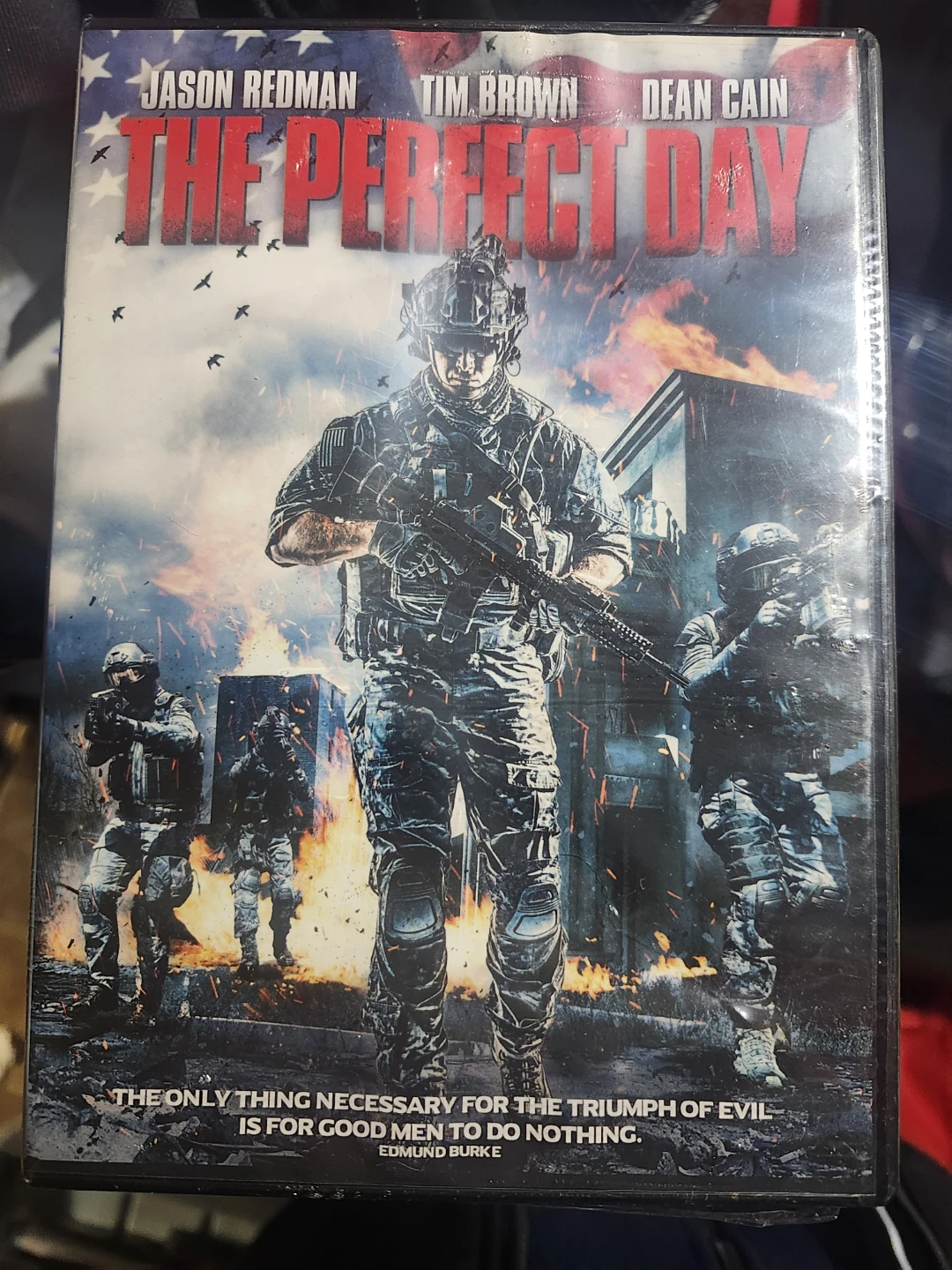 The Perfect Day DVD