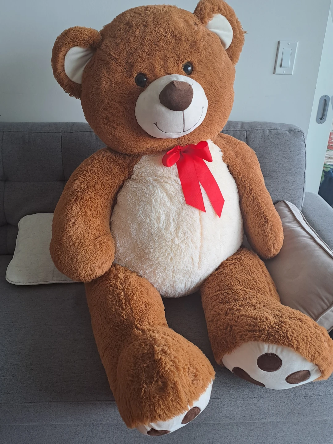 Lovely Teddy Bear