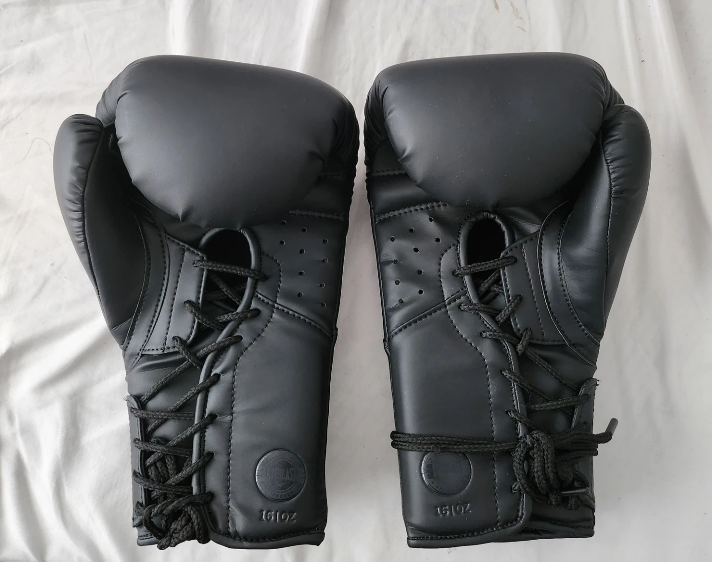 Everlast Elite Pro 16oz Boxing Gloves 🌱