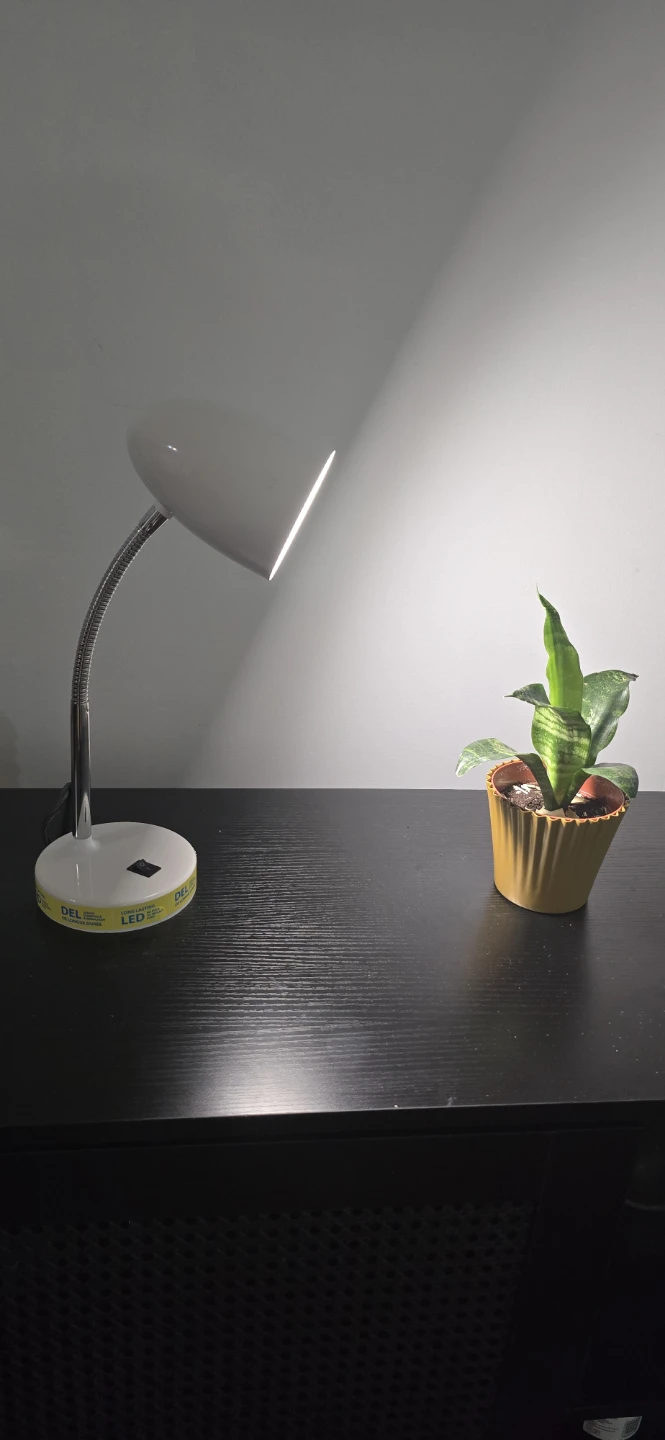 LED Desk Lamp - Warm White