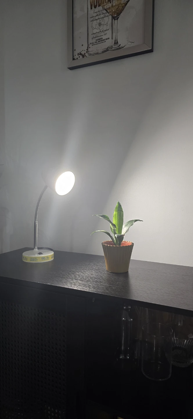 LED Desk Lamp - Warm White - photo 2