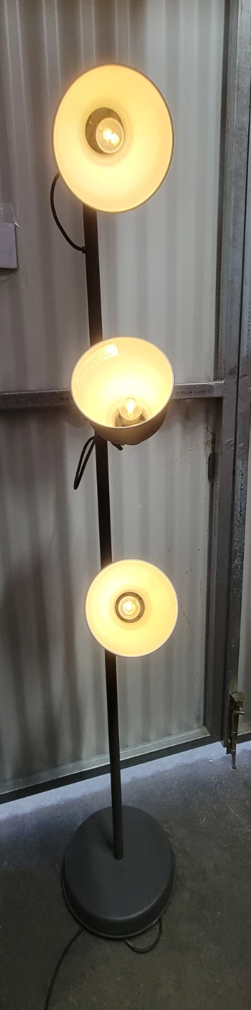Adjustable Triple Head Floor Lamp - photo 3