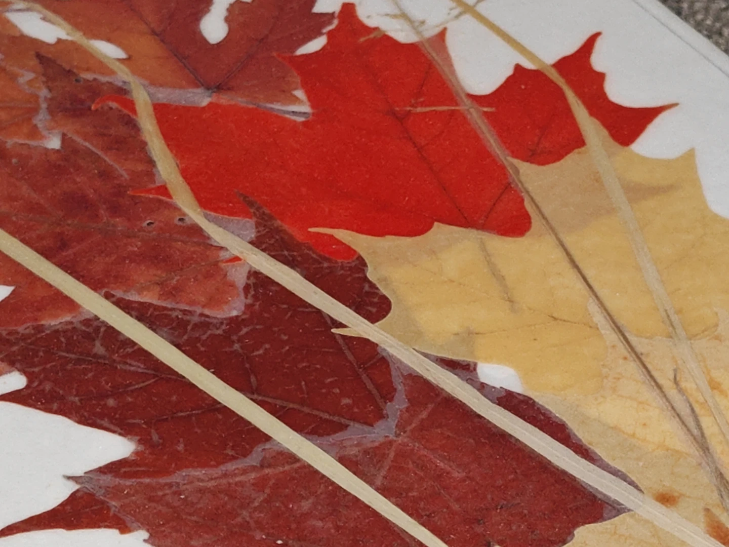 Pressed Leaf Wall Art Autumn Harvest by UGET Originals - 7"x14" - photo 4
