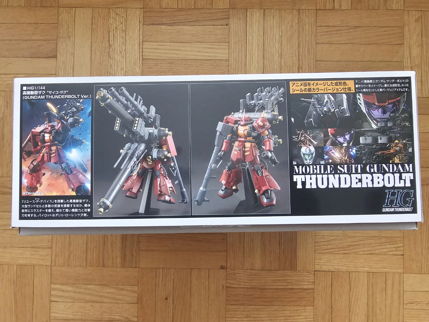HG Psyco Zaku model kit - photo 2