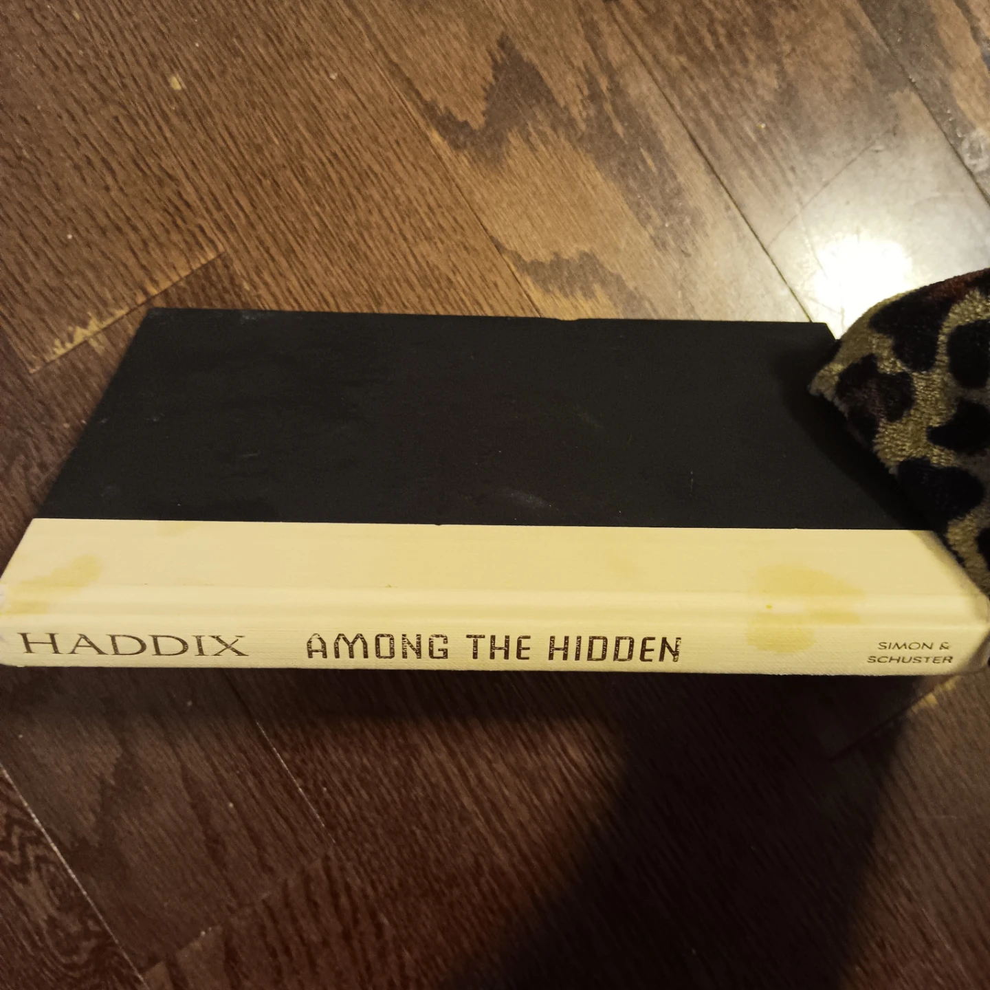 Among the Hidden by Haddix - Simon & Schuster
