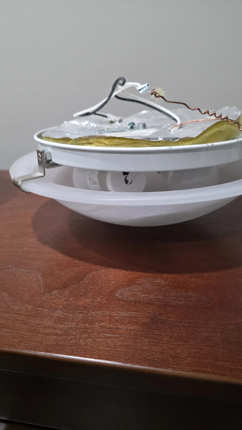 Flush Mount Ceiling Lights with bulbs - photo 3