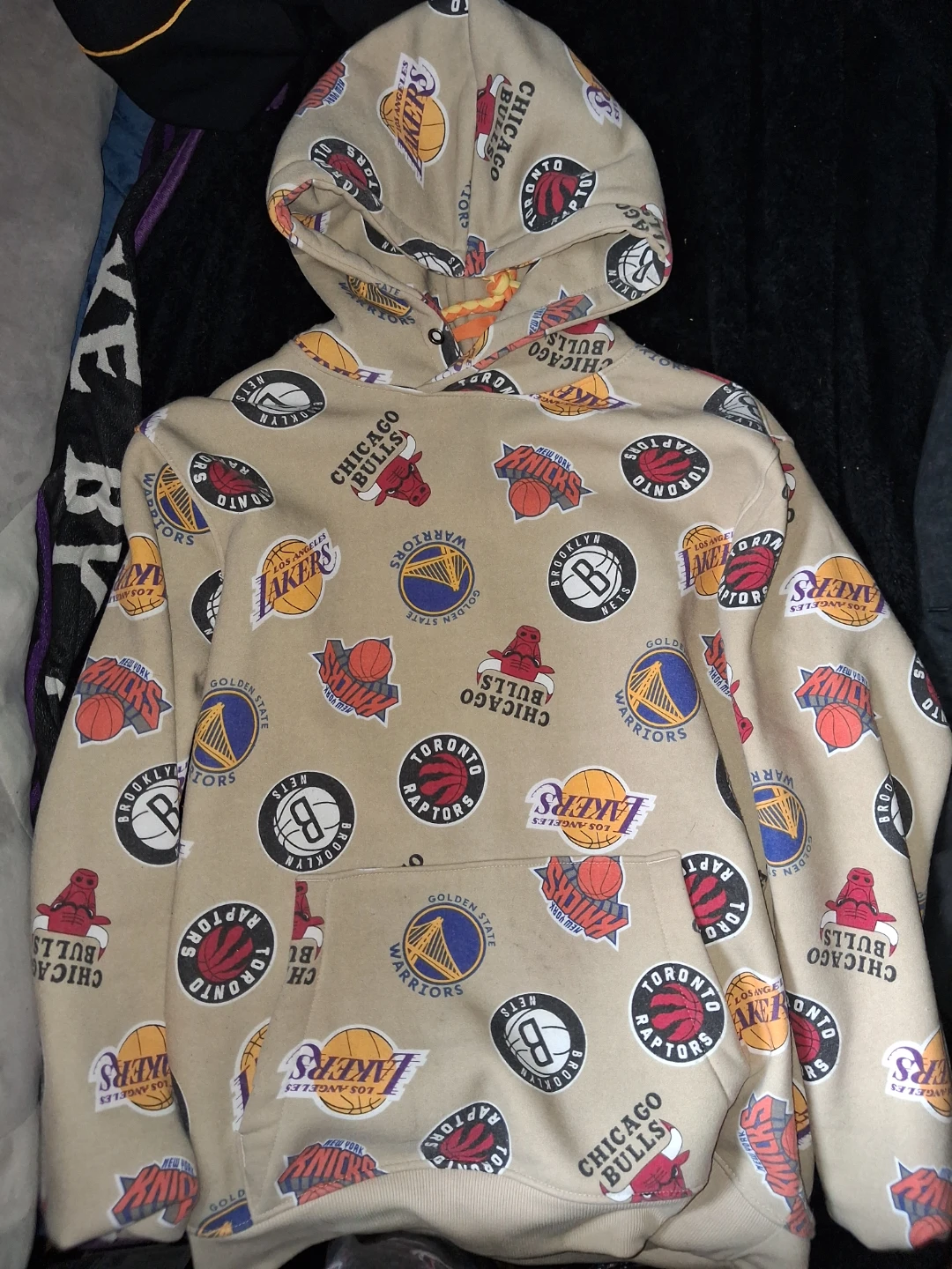 NBA Team Logo Print Hoodie