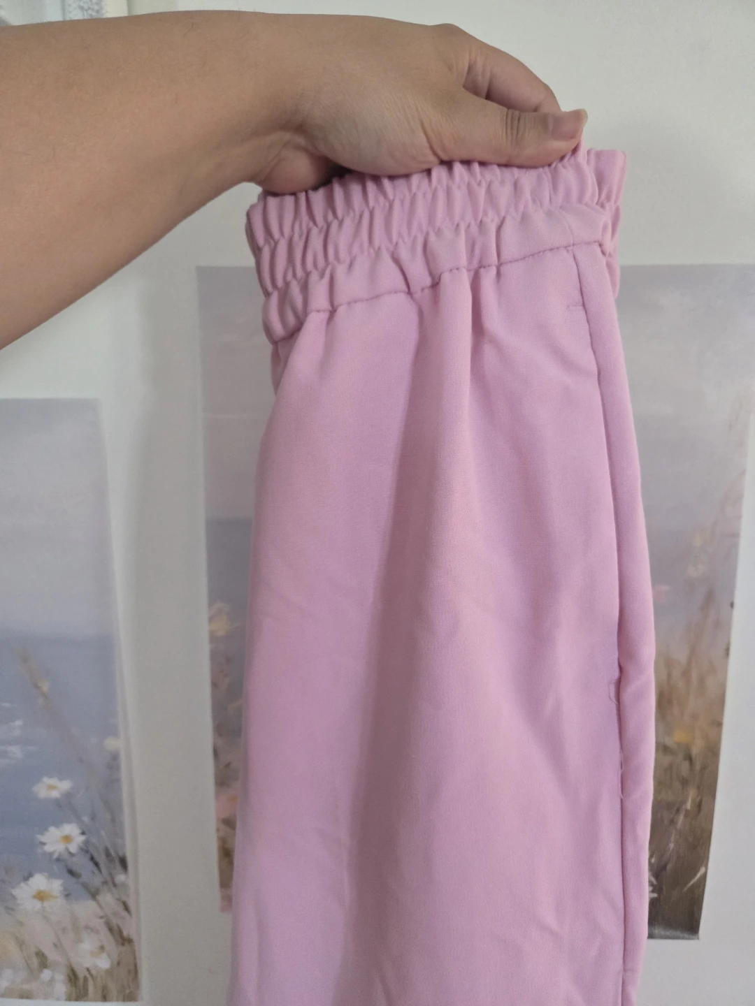 brand new high quality pink pants 36