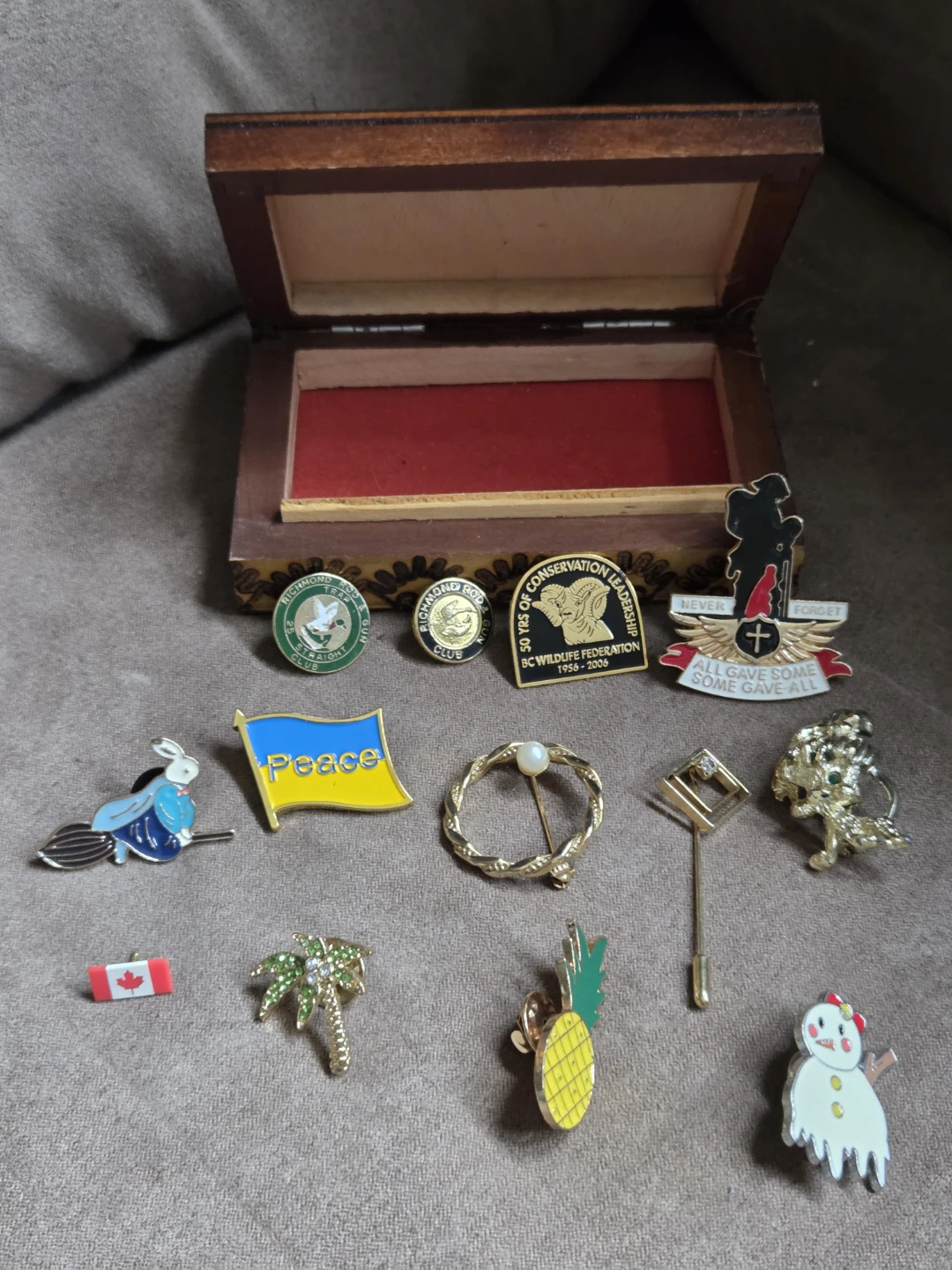Collection of Assorted Enamel Pins with Wooden Box