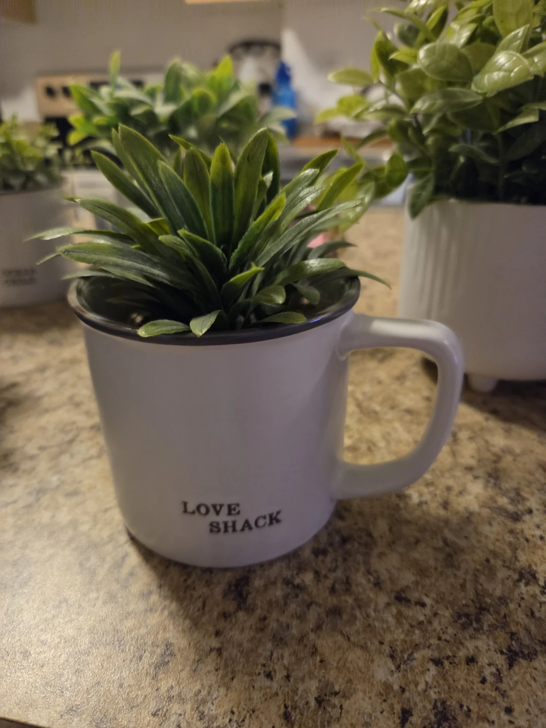 Artificial Plants in Decorative Mugs and Pots - photo 5