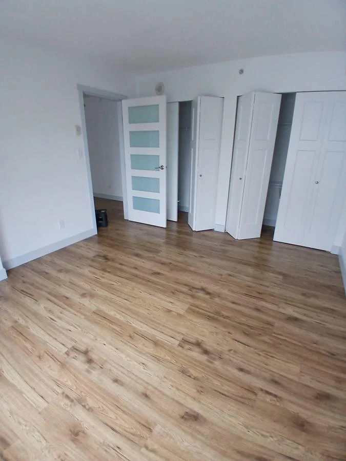 1 bed - 1 bath apartment - photo 4