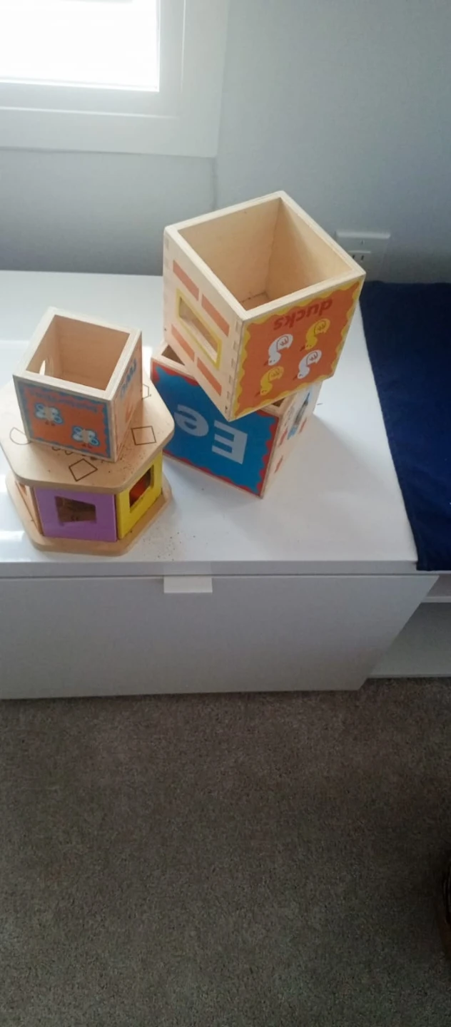 Wooden Shape Sorter Toy Set