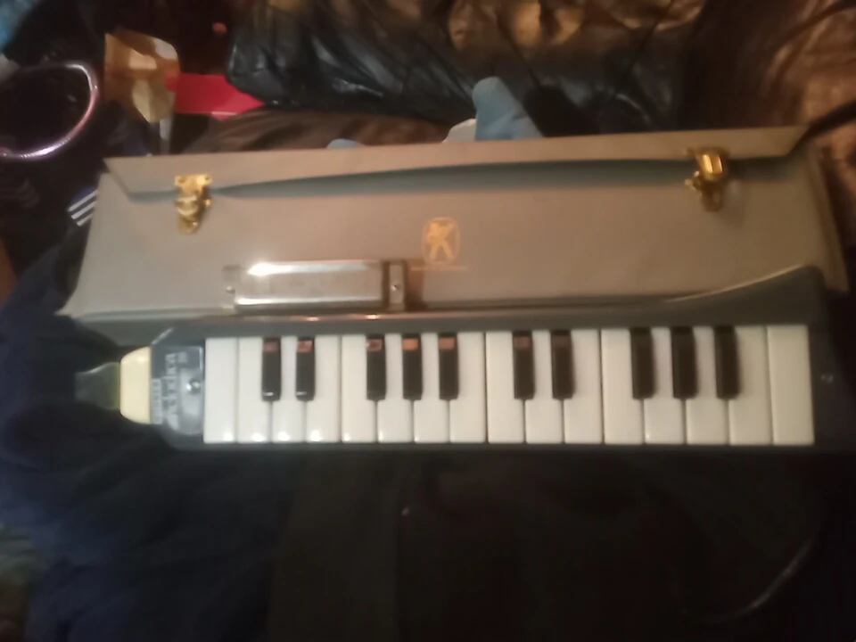 AULICA Melodica with Harmonica and Case