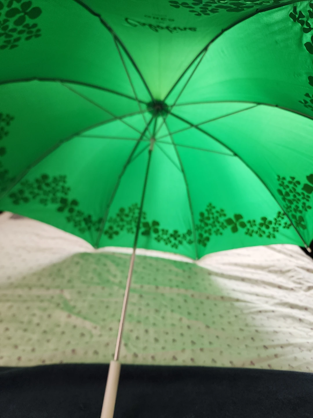 Cabotine de Gres Paris Green Umbrella - photo 2