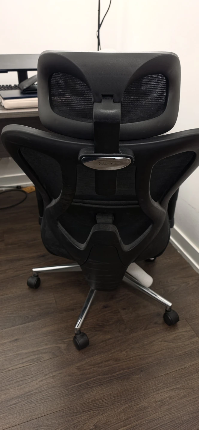 For FREE! Wide Ergonomic Office Chair