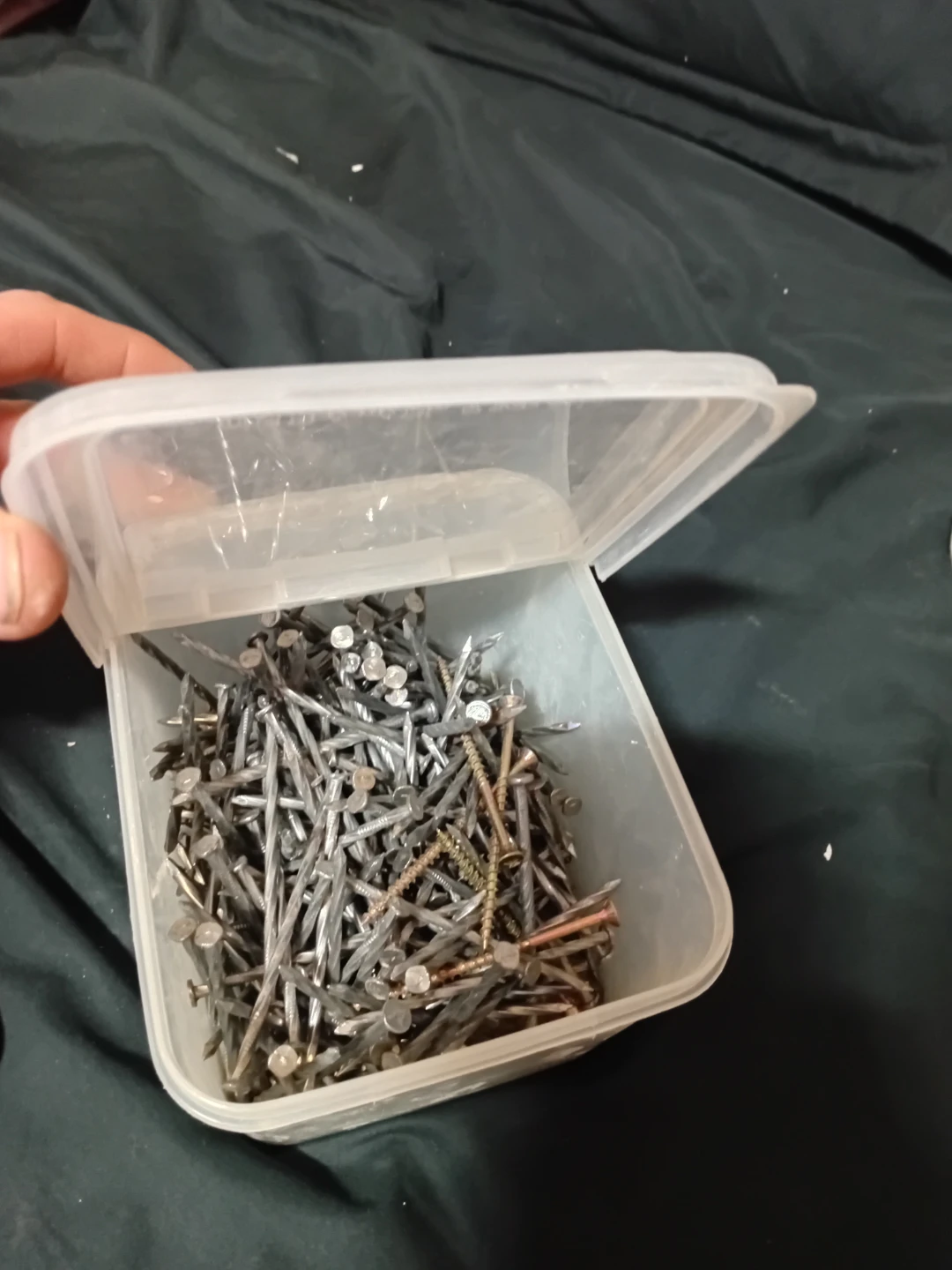 Assorted Nails and Screws Container