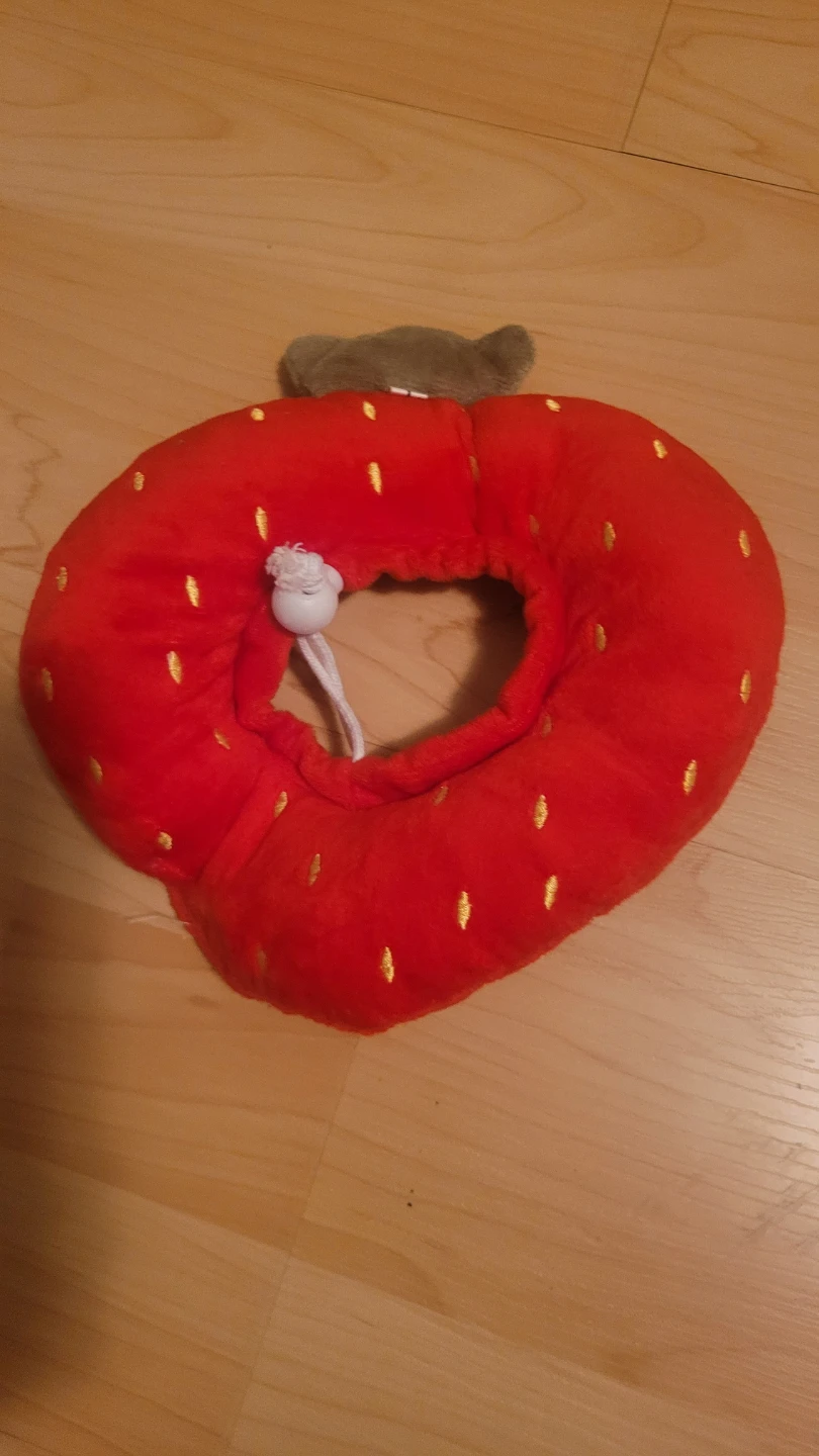 Strawberry Pet Recovery Collar