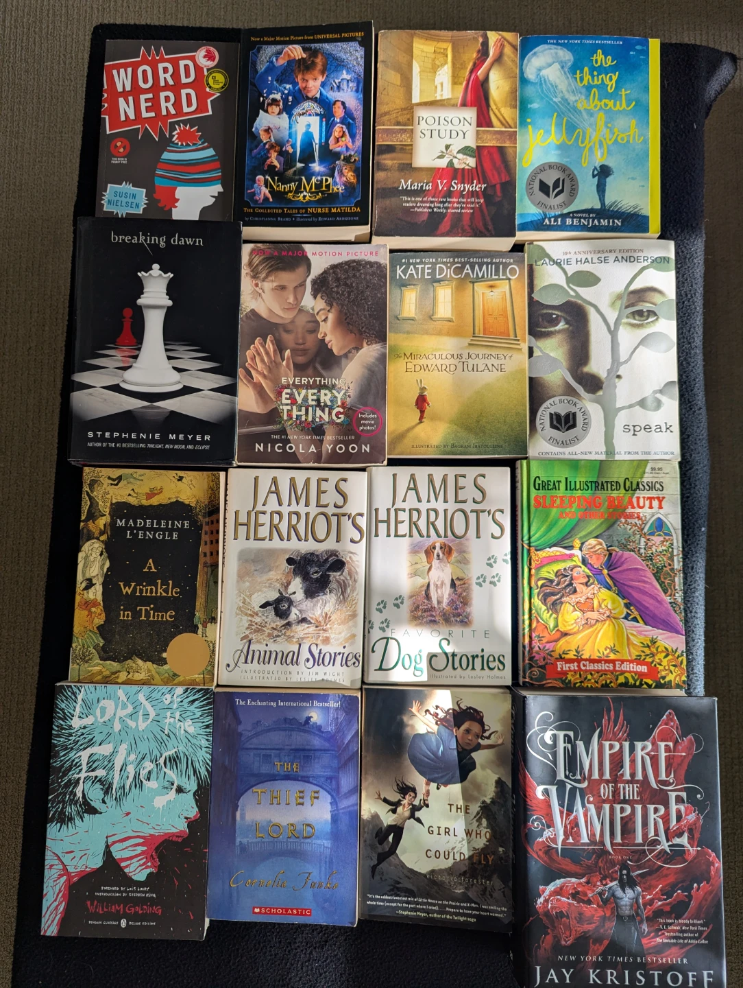 Assorted Used Books Collection