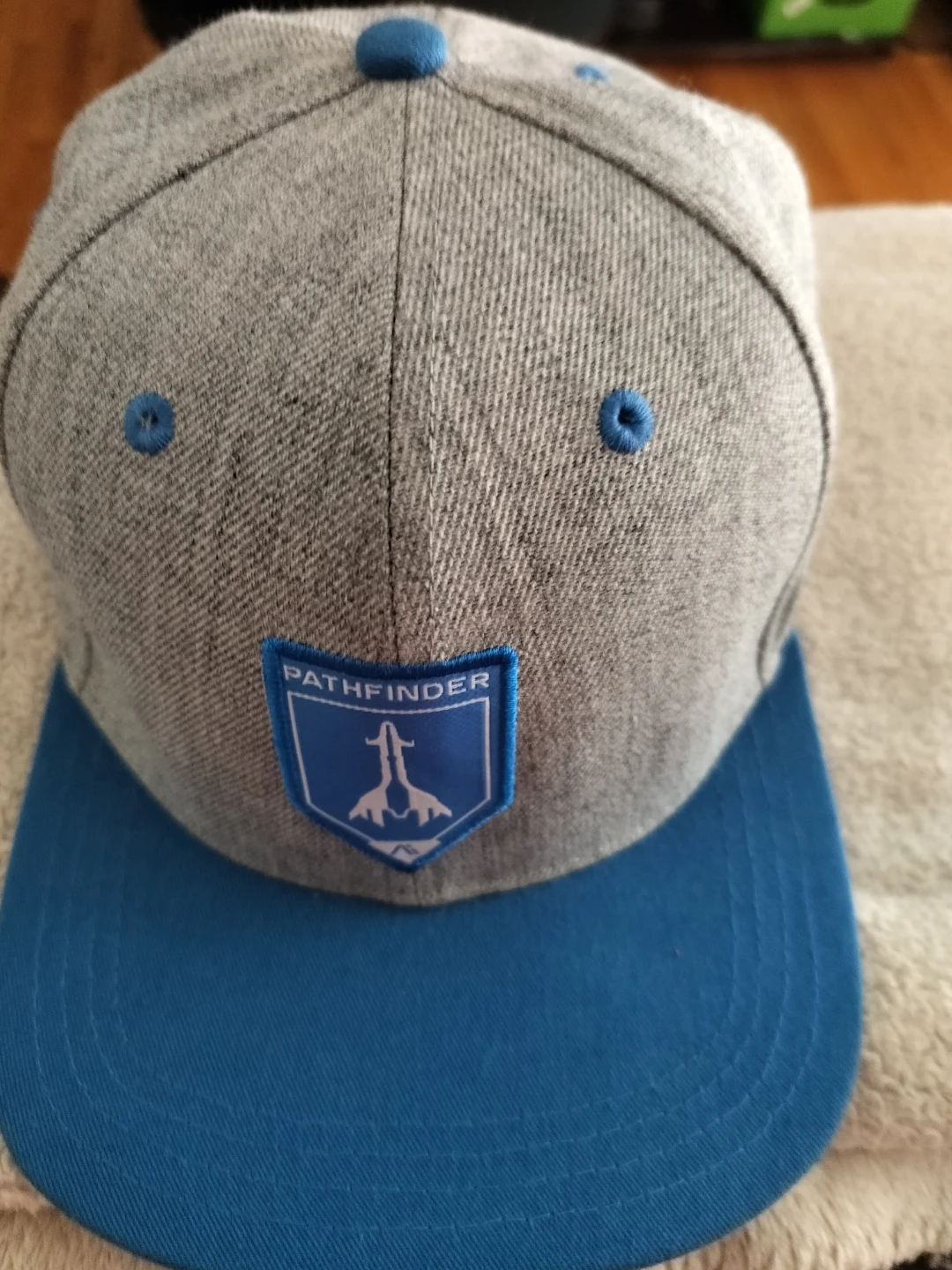 Pathfinder Bioware EA Snapback Hat