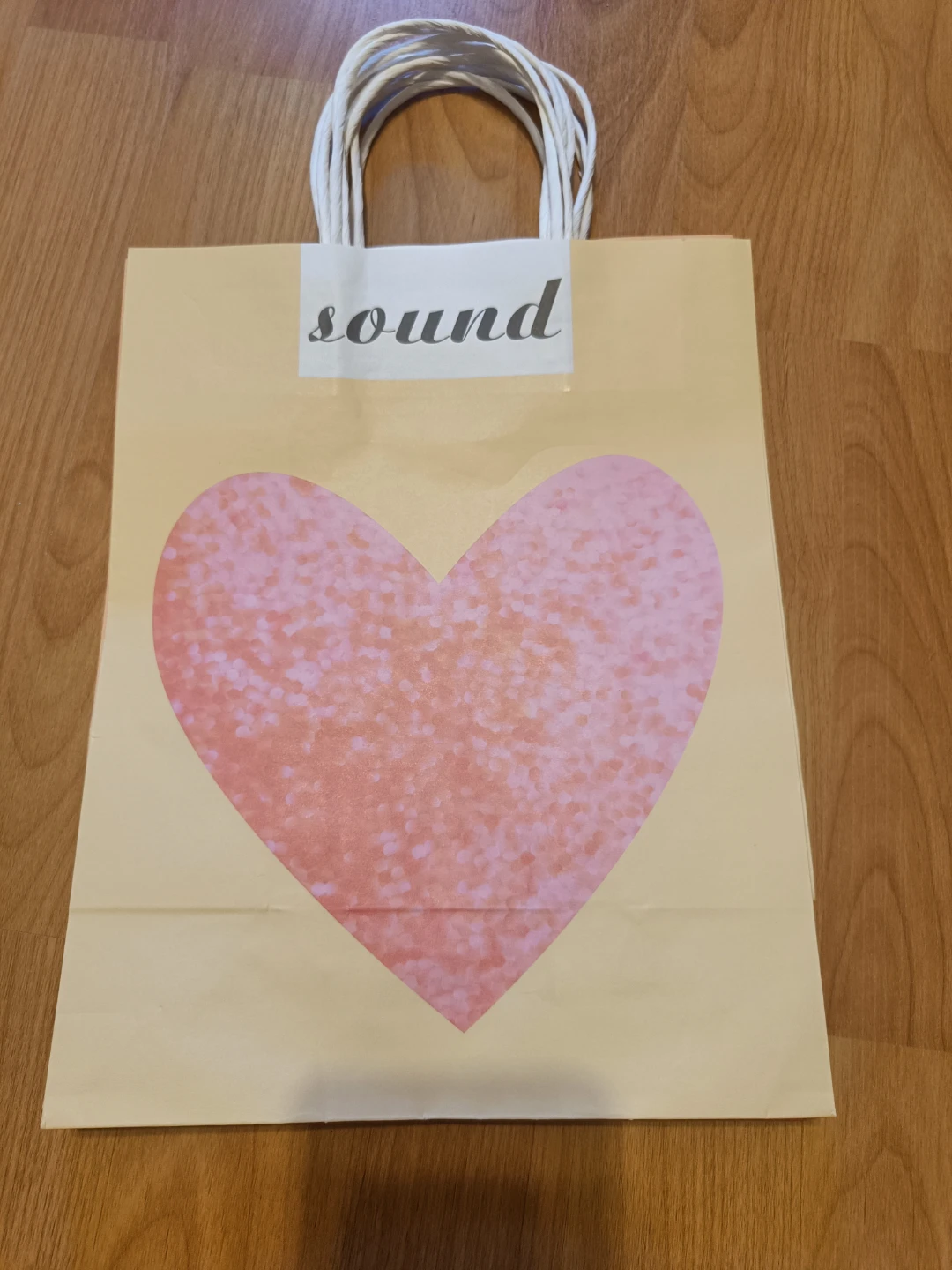 Set of 5 Paper Gift Bags with Handles