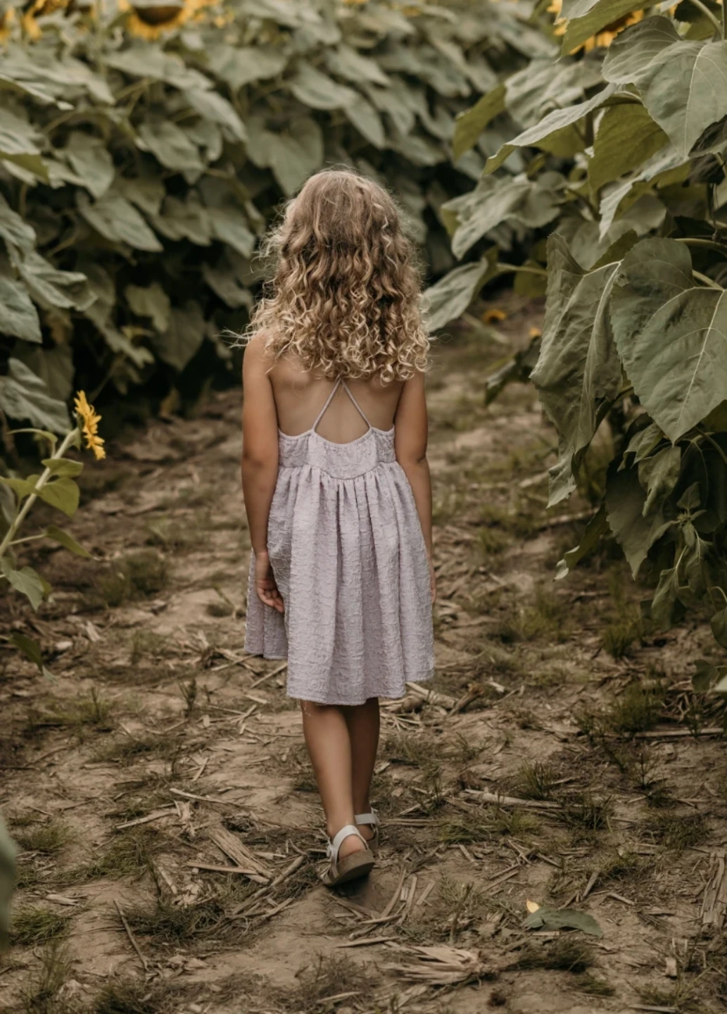Noralee Dress