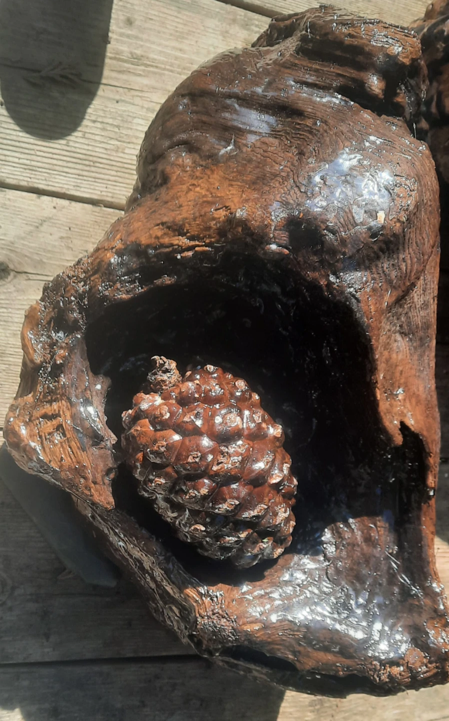 Unique Natural Wood Sculpture with Pinecone