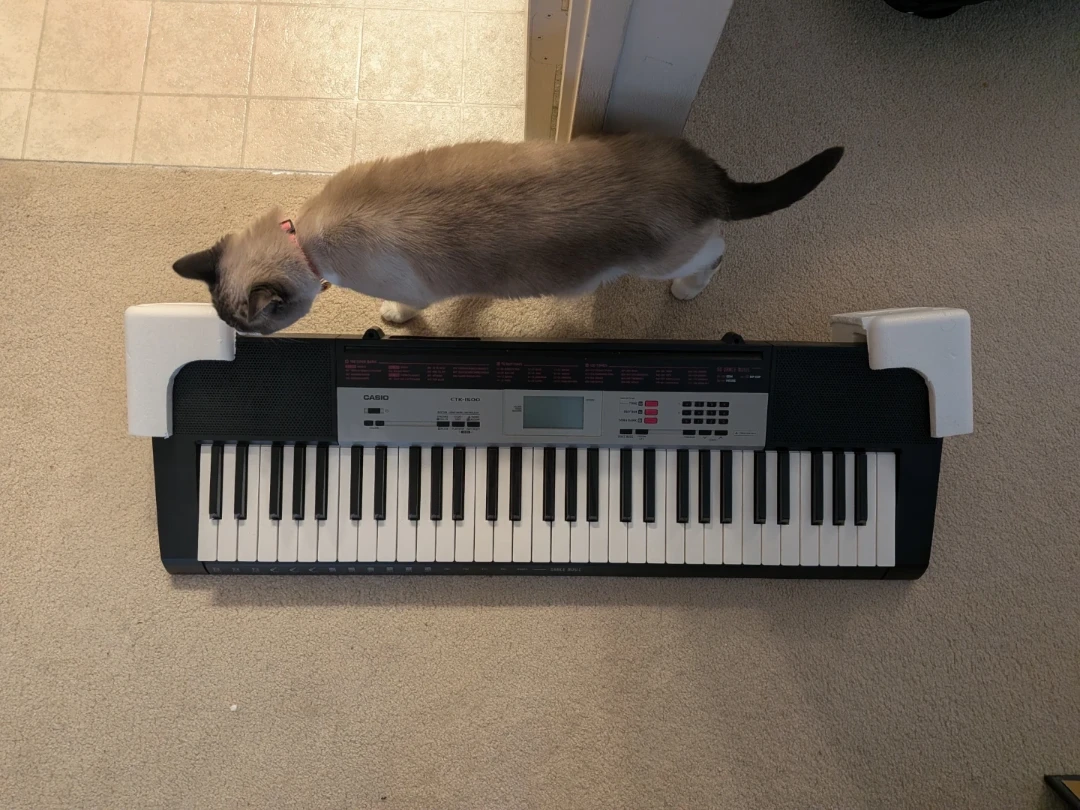 Casio CTK-1500 Digital Keyboard
