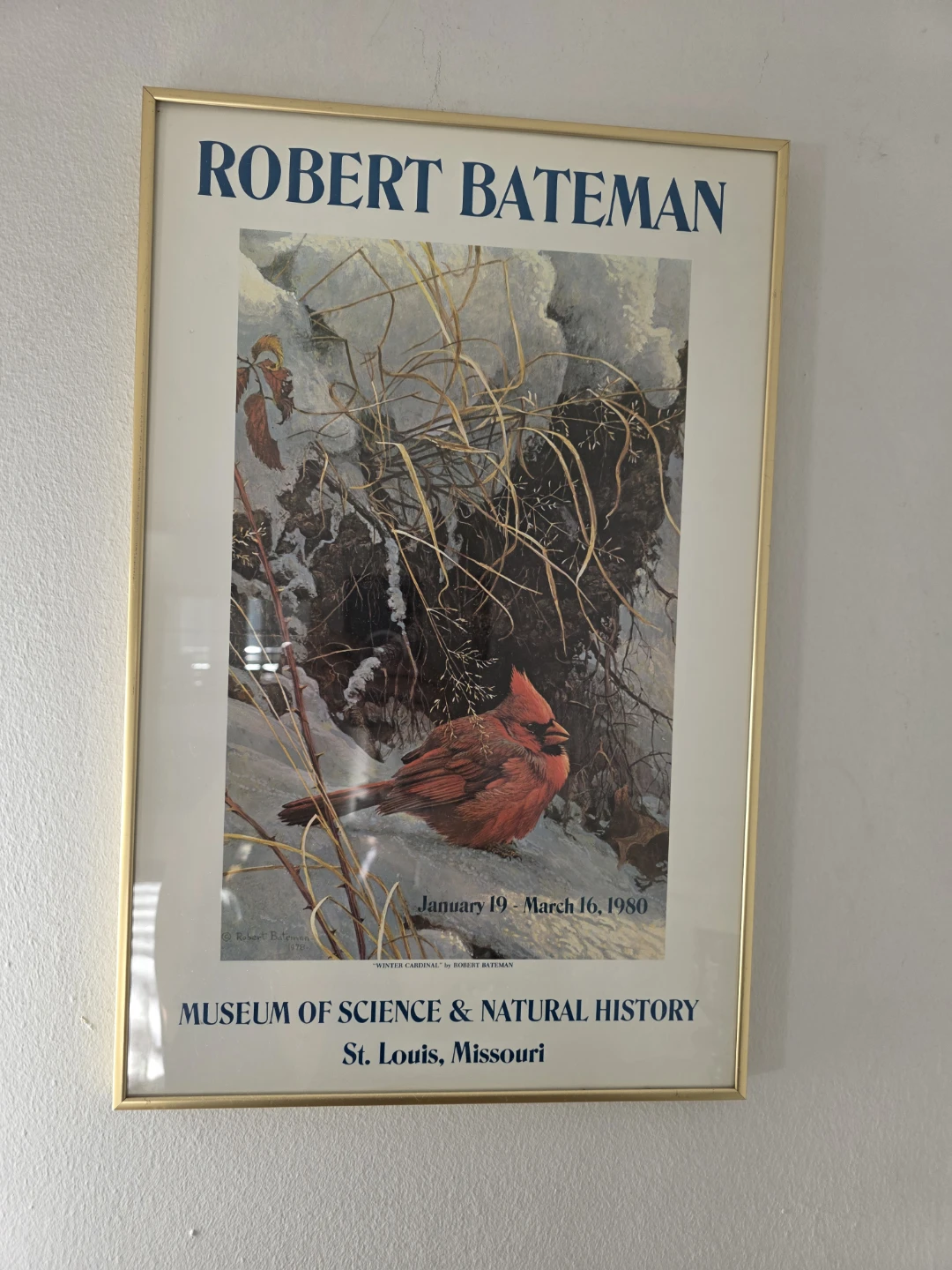 Robert Bateman picture