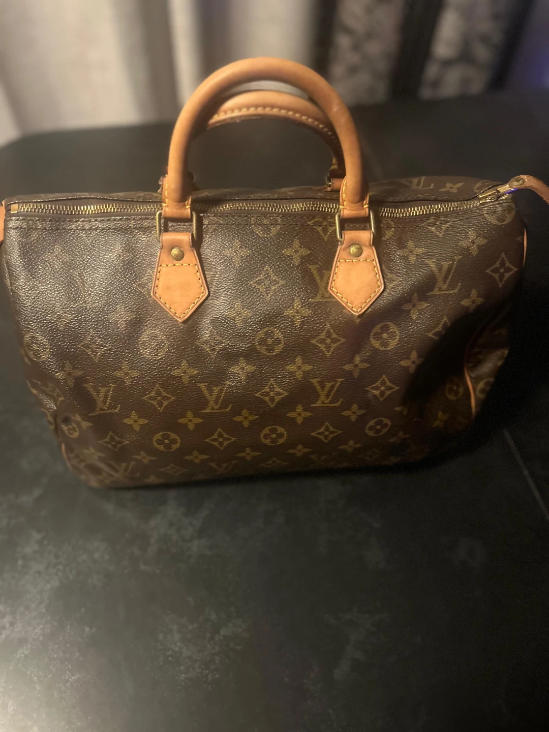 Louis Vuitton Speedy Handbag