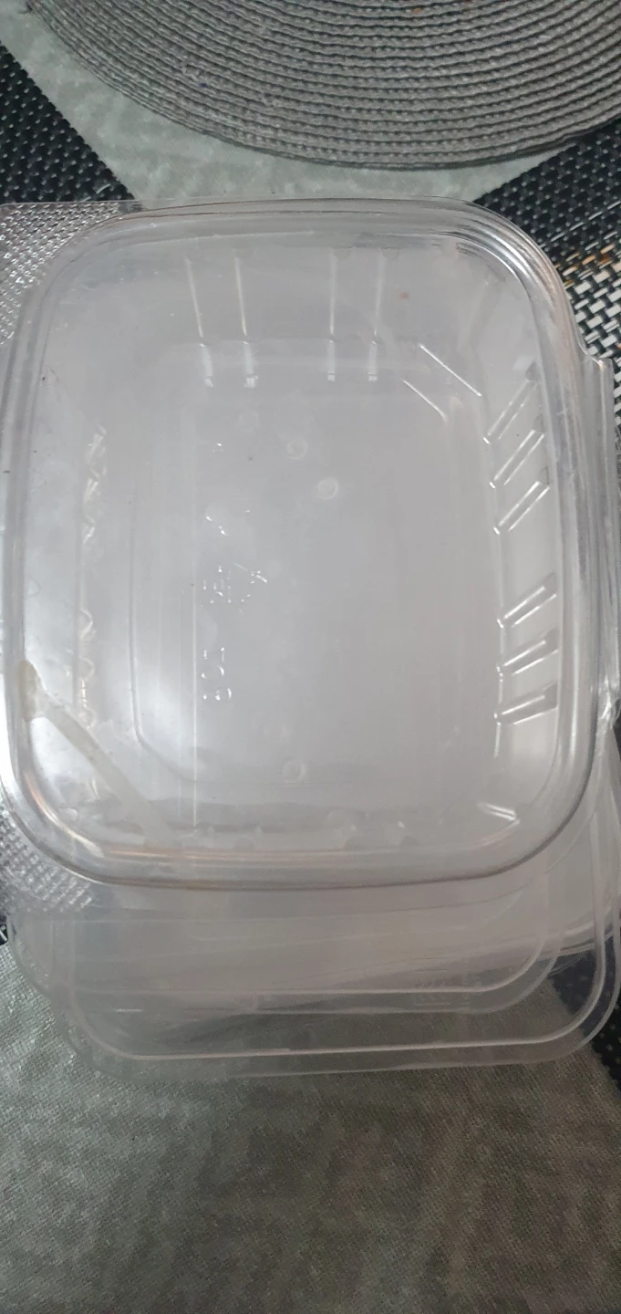 Clear Plastic Food Containers with Lids