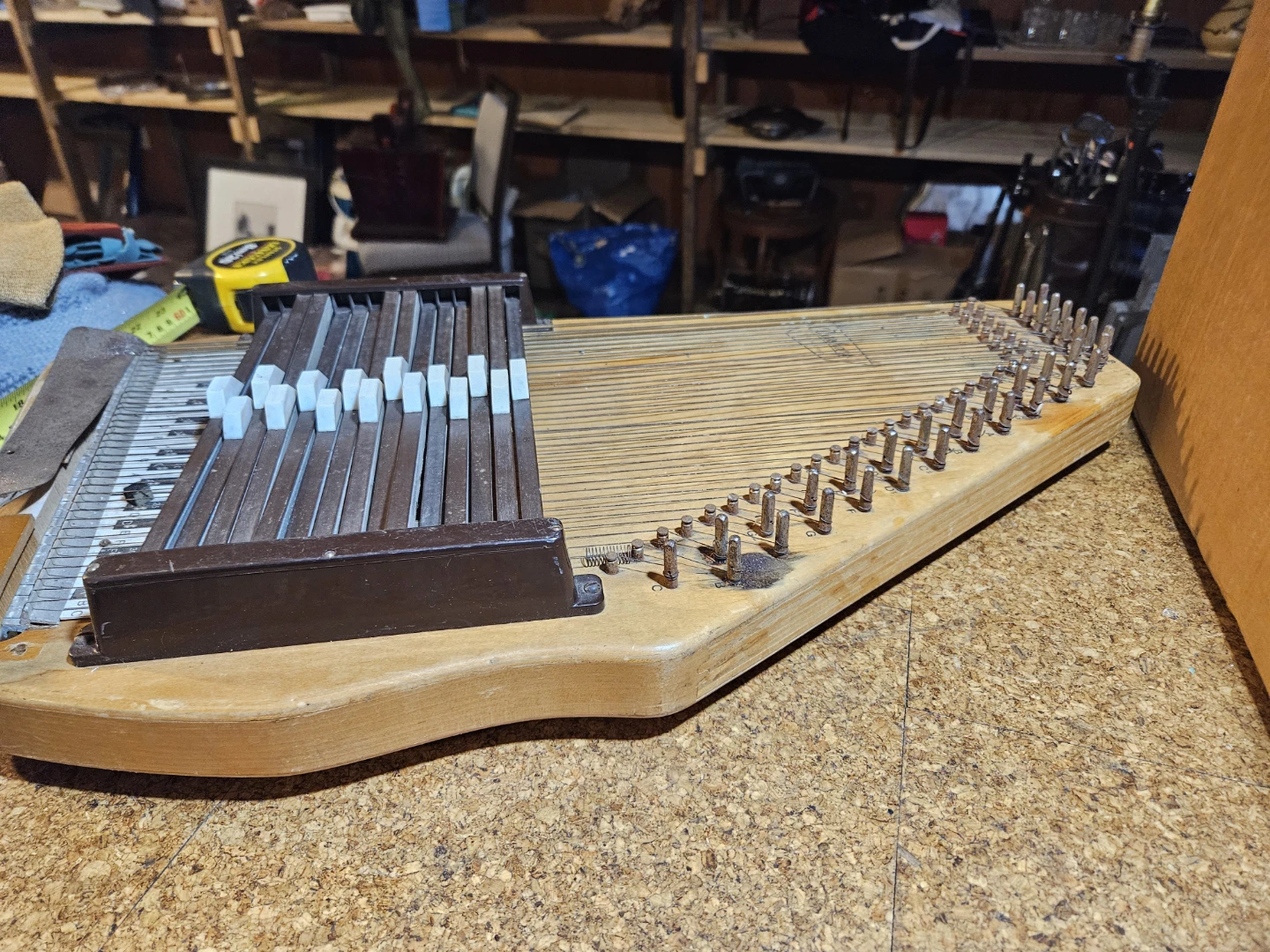 Lyra Autoharp - photo 5