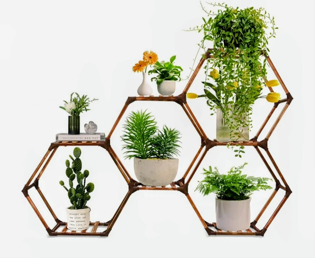 Hexagonal Wall Shelf Unit for Plants