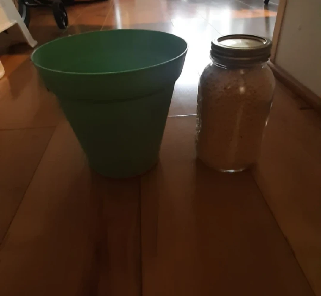 Pots for plants - photo 2