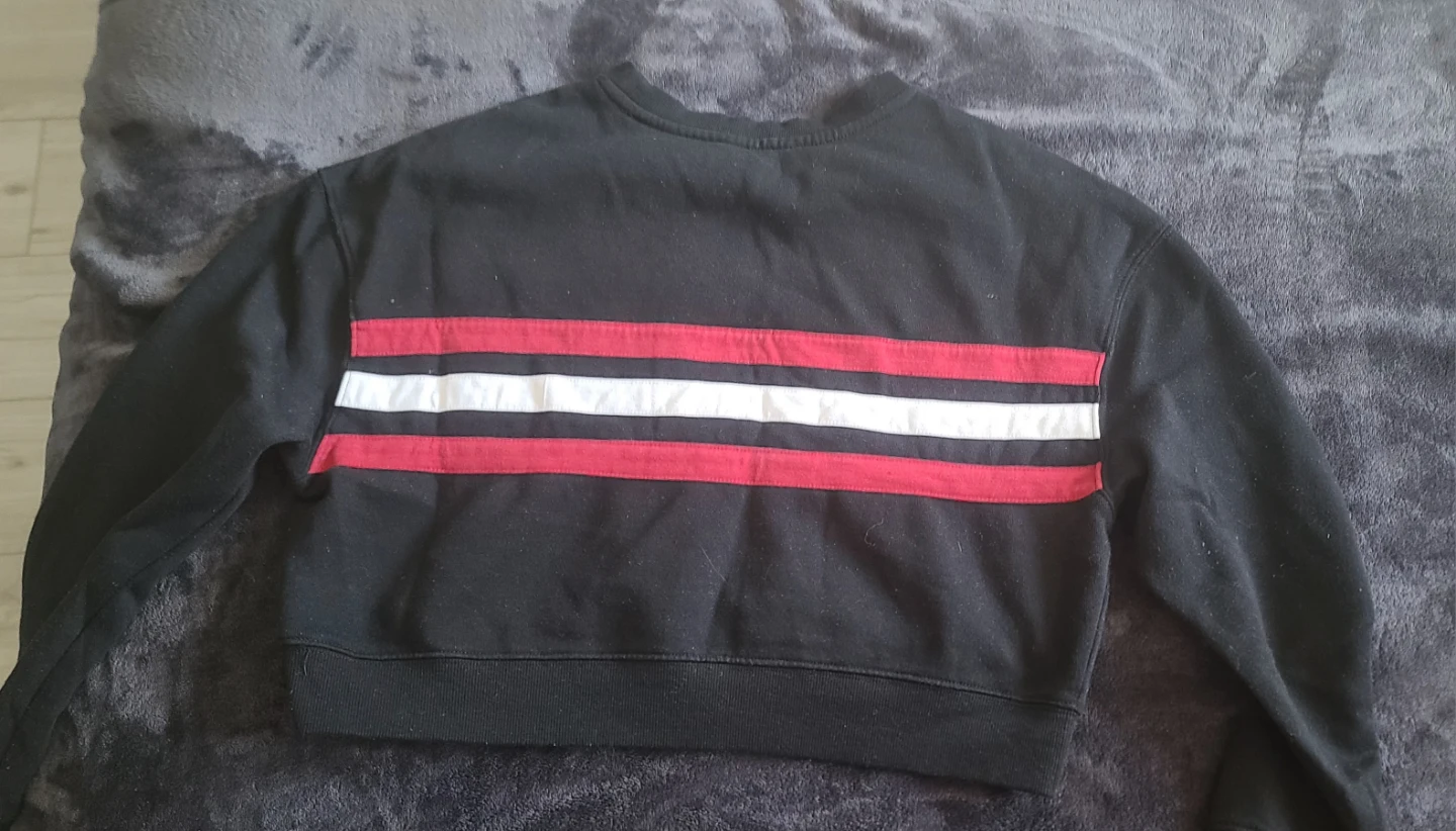 Champion Crop Sweatshirt - photo 2