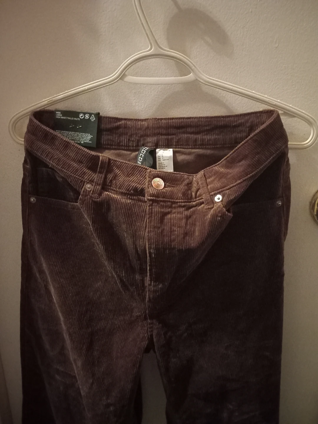 Brand New H&M Brown Corduroy Pants - Size US 6