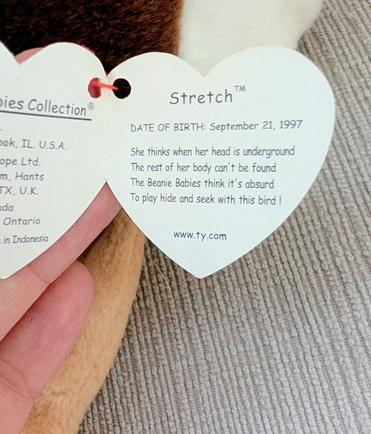 Ty Beanie Baby "Stretch" Ostrich - photo 2