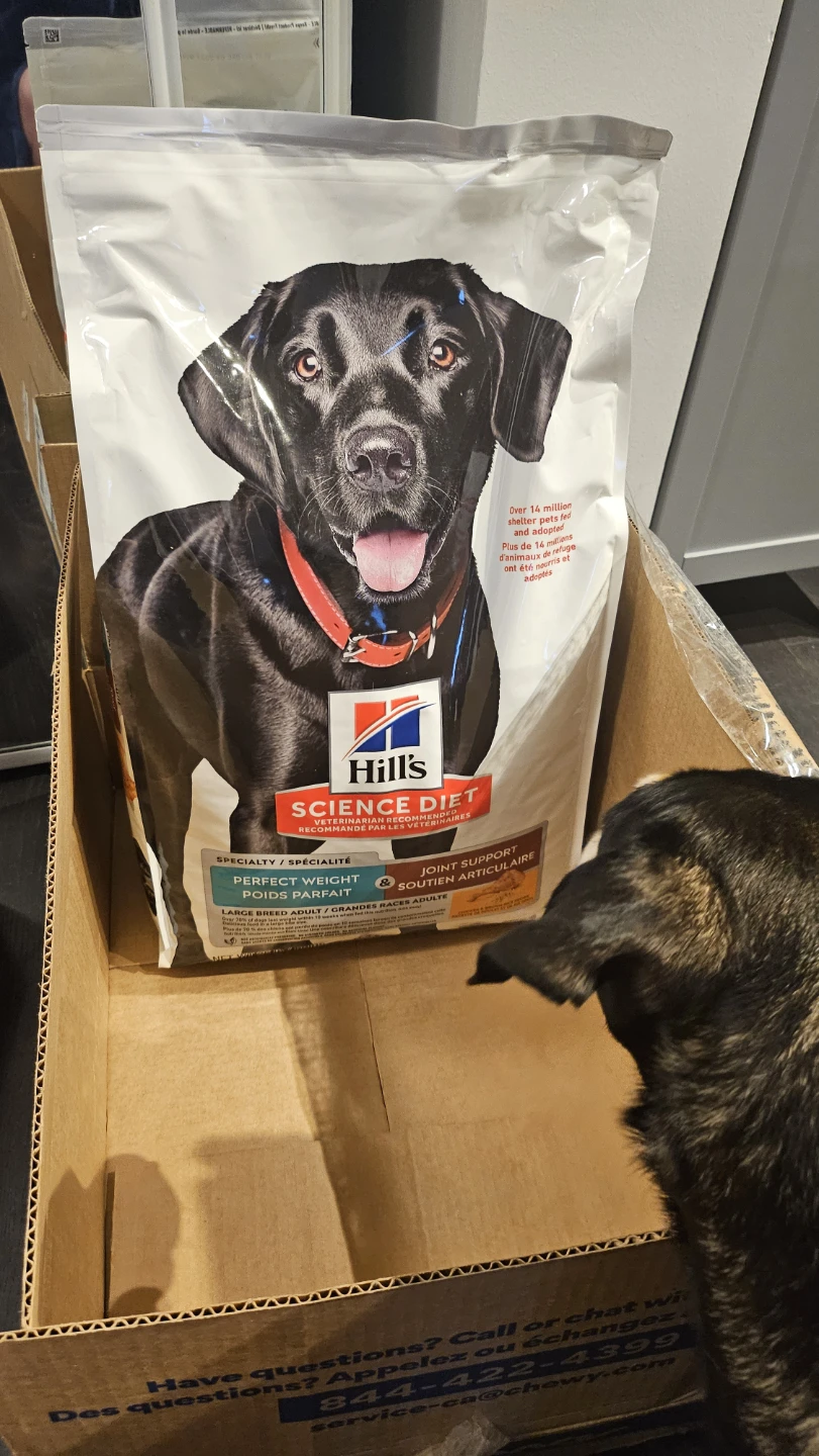 NEW Hill's Large Breed Adult Perfect Weight&Joint Support