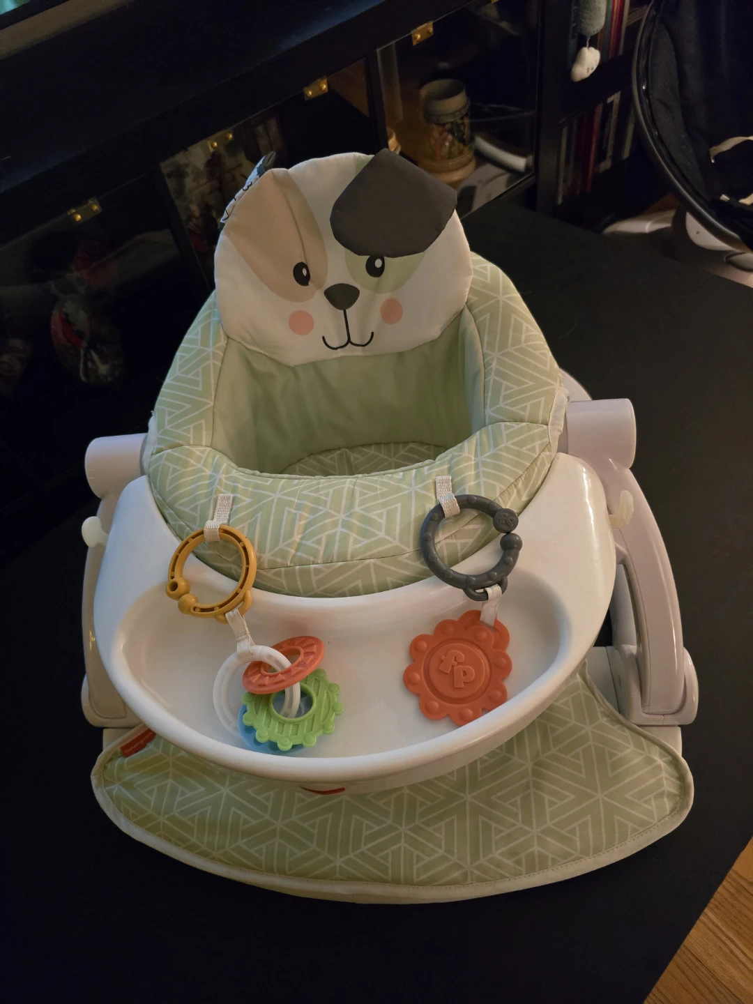 Fisher-Price Sit-Me-Up Seat - Puppy