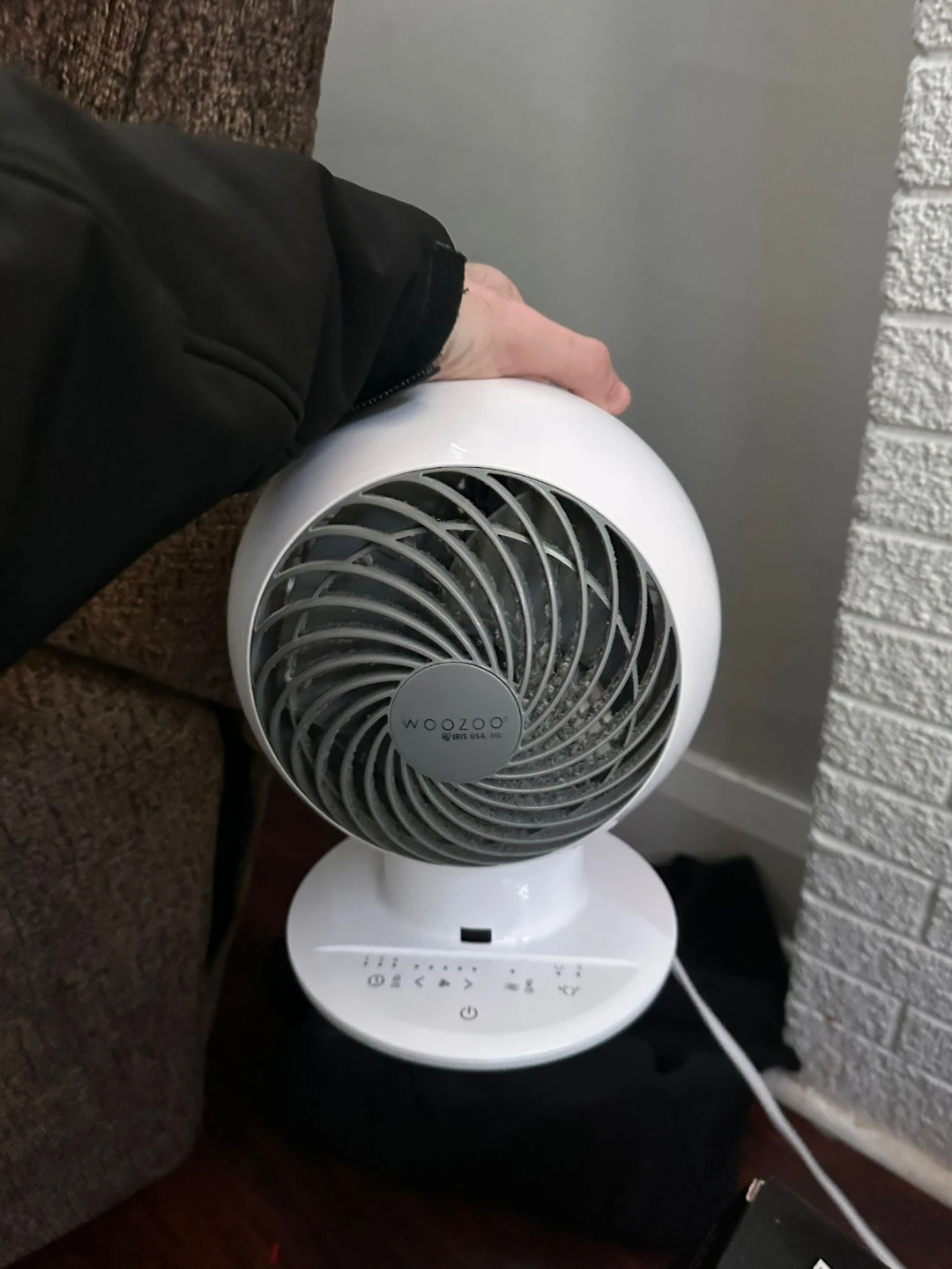 Woozoo Oscillating Fan
