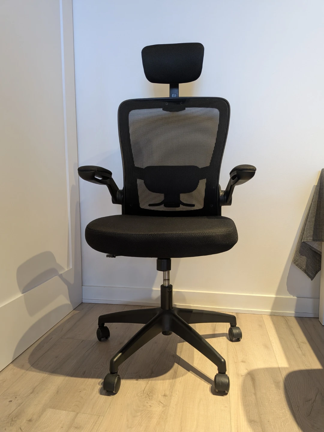 Ergonomic Mesh Office Chair with Headrest