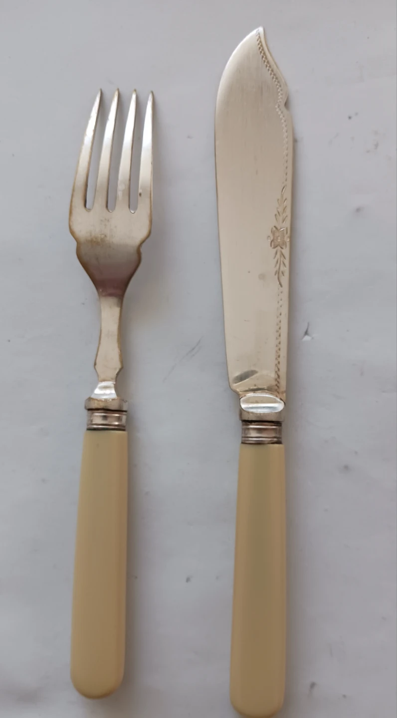 Vintage Cutlery Set Fork &Knife with Case EPNS - photo 3
