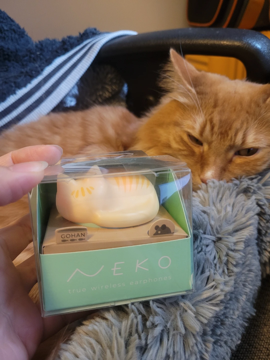 Radius NEKO true wireless earphones (orange tabby not included) - photo 2