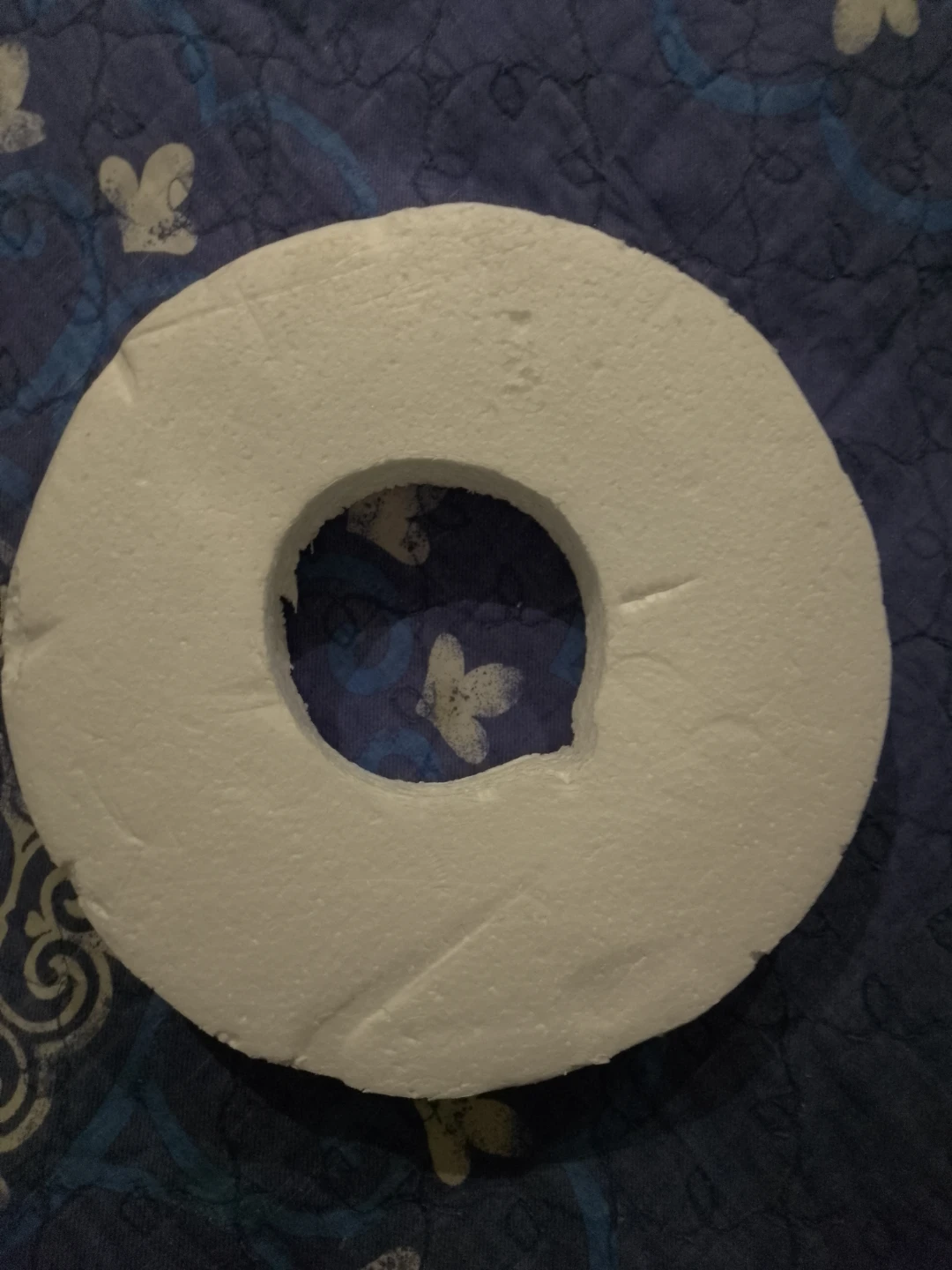 White Styrofoam Ring Craft Material 🌱